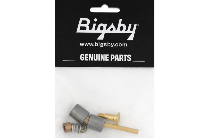 Accesorii pt Bigsby Bigsby Small Parts Pack Gold