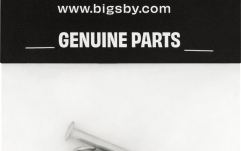 Accesorii pt Bigsby  Bigsby Small Parts Pack Polished Steel and Aluminum