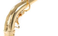 Accesoriu saxofon Yanagisawa Gat S AKz1 Alt Saxophon