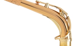 Accesoriu saxofon Yanagisawa Gat S AKz2 Alt Saxophon