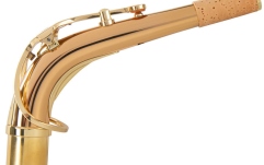 Accesoriu saxofon Yanagisawa Gat S AKz2 Alt Saxophon