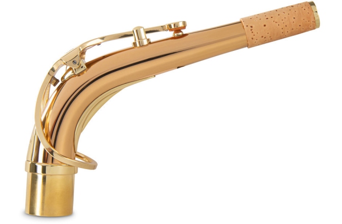 Accesoriu saxofon Yanagisawa Gat S AKz2 Alt Saxophon