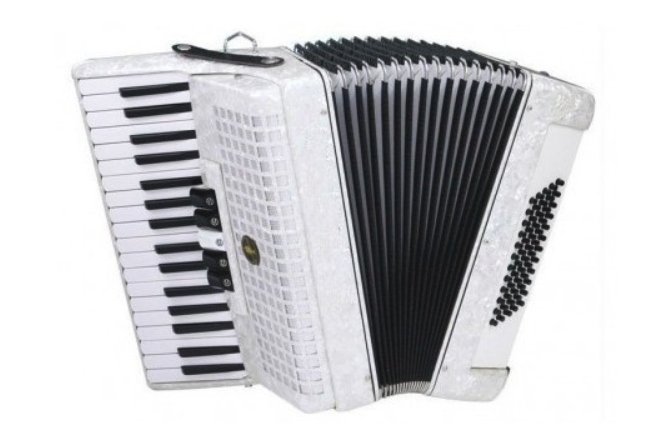 Acordeon Parrot Acordeon 1308 White