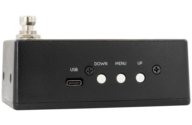 Acordor digital Walrus Audio Canvas Tuner