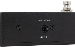 Acordor digital Walrus Audio Canvas Tuner