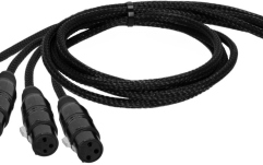 Adaptor audio - rețea Adam Hall 4Star CatBox XLRf 3p