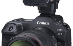 Adaptor microfon pt. camere Tascam CA-XLR2d-C