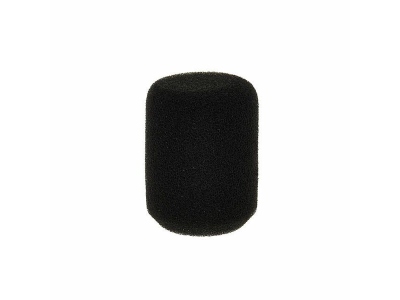 W1001 Windscreen