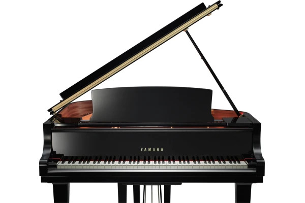 Yamaha C1X PE — 4