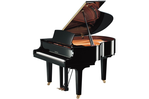 Yamaha C1X PE