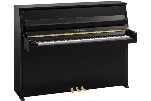 Yamaha B10 PE