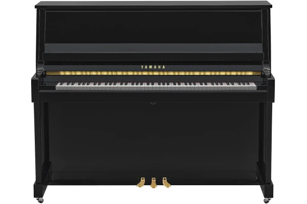 Yamaha B30 PE — 3