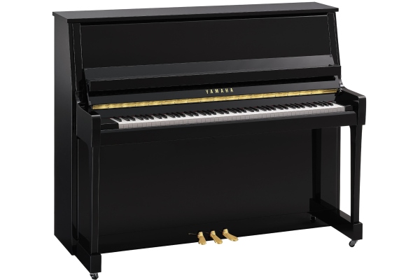 Yamaha B30 PE