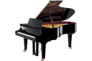 Yamaha CF6 PE