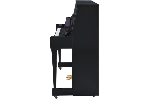 Yamaha B30 PE — 2