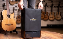 Amplificator chitară acustică Ortega Amplifier Combo Walnut 100W CONE-WND