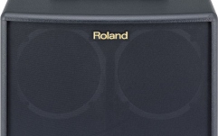Amplificator chitară acustică Roland AC-60