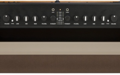 Amplificator de Chitară Fender Acoustic 100