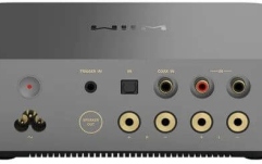 Amplificator stereo compact WiiM Vibelink