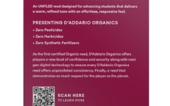 Ancie Clarinet Sib Daddario Woodwinds Mitchell Lurie Bb Clarinet 3.5 