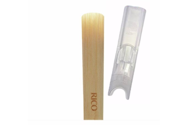 Tenor Sax Strength 2.5 