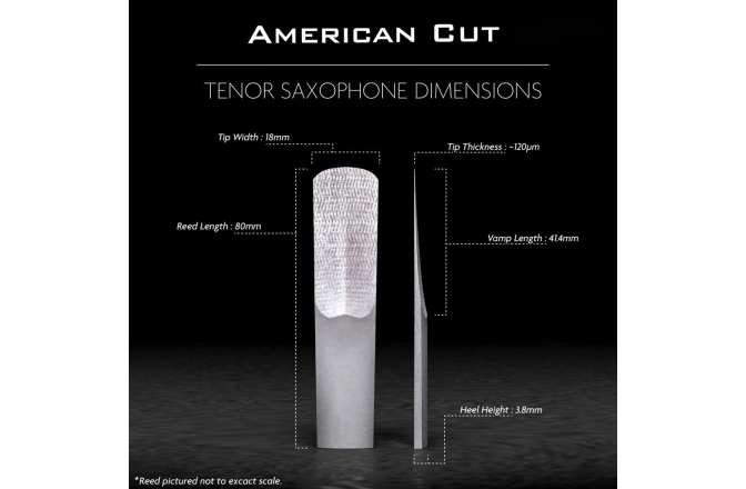 Ancie sax tenor Legere American Cut Tenor Sax 1.75