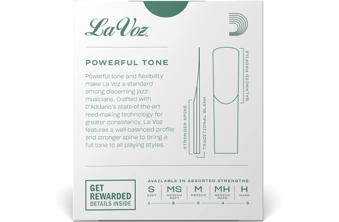 Ancie Saxofon Sopran Daddario Woodwinds La Voz Soprano Saxophone M