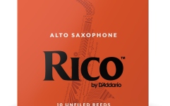 Ancii Saxofon Alto Daddario Woodwinds Rico Alto Sax 3 