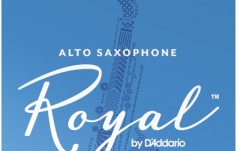 Ancie Daddario Woodwinds Royal Saxofon Alto 2.