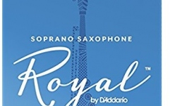 Ancie Daddario Woodwinds Royal Saxofon Sopran 2.