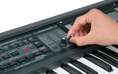 Aranjor workstation Roland GW-8E