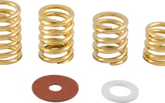Arcuri de Tensiune pentru Braț Tremolo Bigsby Spring and Washer Pack Gold