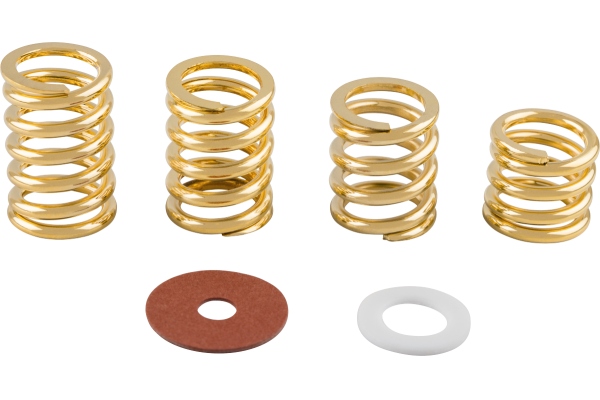 Spring and Washer Pack Gold Spring and Washer Pack Gold