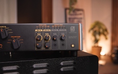 Atenuator, DI box Palmer Supreme Soaker Analog Dynamic Tube Amp Hub