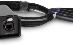 Audio prin Cat  Palmer AoC Loom TRSm