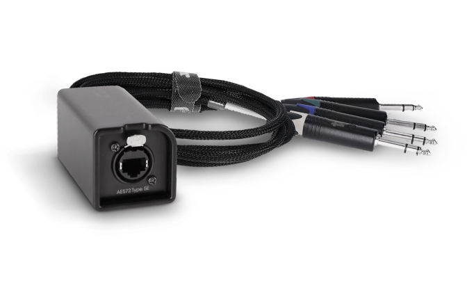 Audio prin Cat  Palmer AoC Loom TRSm