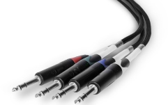 Audio prin Cat  Palmer AoC Loom TRSm