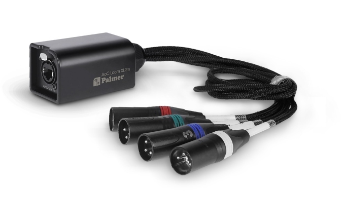 Audio prin Cat  Palmer AoC Loom XLRm