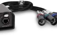 Audio prin Cat  Palmer AoC Loom XLRm
