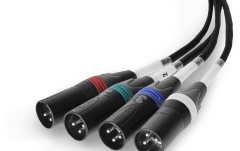 Audio prin Cat  Palmer AoC Loom XLRm