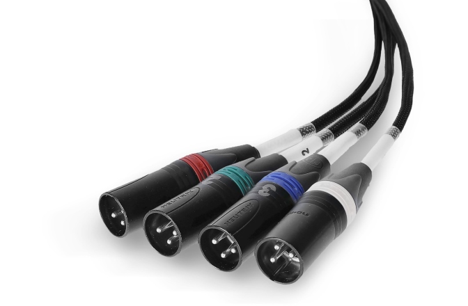 Audio prin Cat  Palmer AoC Loom XLRm