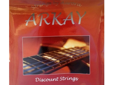 Arkay Acoustic 12s Black