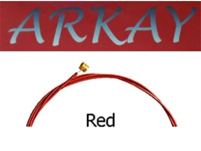 Arkay Acoustic 12s Red
