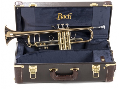 Trompeta Bb 180-37 Stradivarius 180-37G
