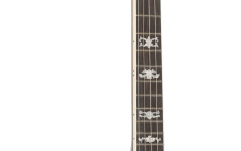 Banjo  Ortega Falcon Series Banjo 5 String - FMN+ Bag