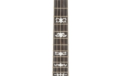 Banjo  Ortega Falcon Series Banjo 5 String - FMN+ Bag