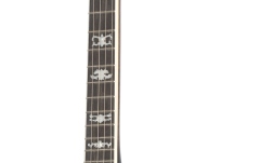 Banjo  Ortega Falcon Series Banjo 5 String - FMN+ Bag