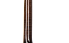 Banjo  Ortega Falcon Series Banjo 5 String - FMN+ Bag