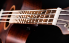 Bas acustic Ortega Ken Taylor Signature Series Shortscale Bass 4 String+Bag