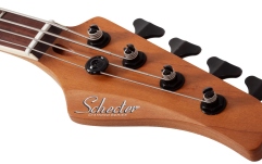 Bas electric Schecter C-4 Standard (CS)